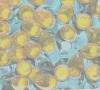 Click to display the file, background-lights yellow-test.jpg